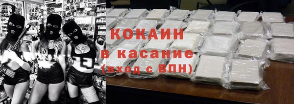 мет Алексин