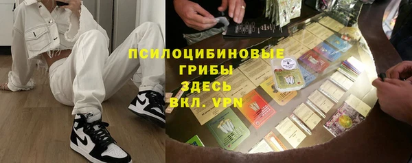 мет Алексин