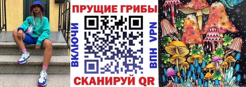 где купить наркоту  Поронайск  Псилоцибиновые грибы мицелий 